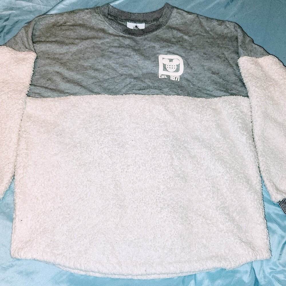Walt Disney World Spirit Jersey